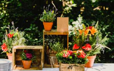 5 Ingenious Ideas for Hosting Eco-Friendly Events