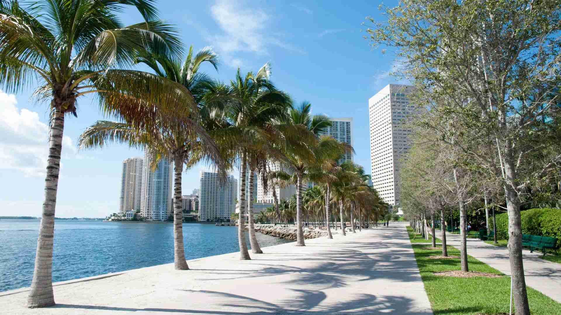 Luxury concierge Services in Miami